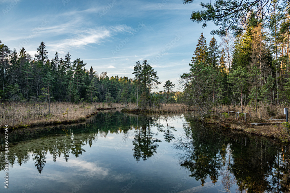 Obraz premium Reflection on pond