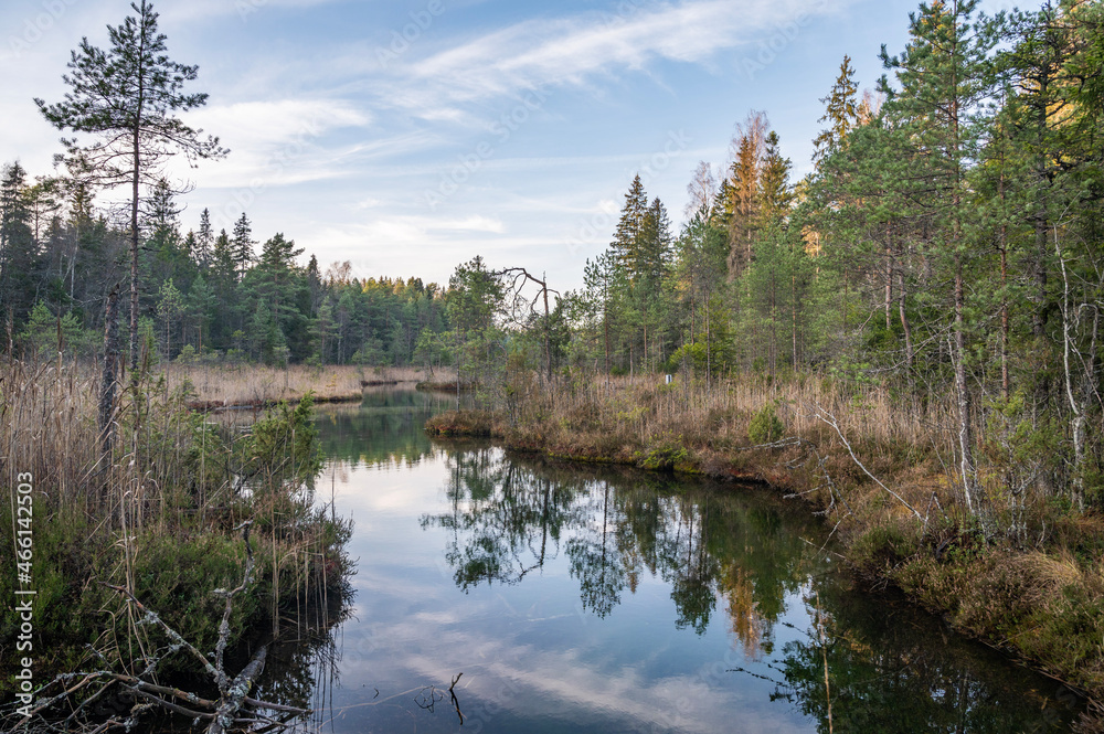 Obraz premium Reflection on pond