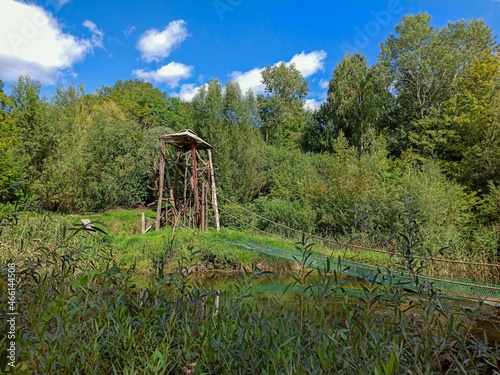 Zoo sun landscapes
Słoneczne widoki ZOO