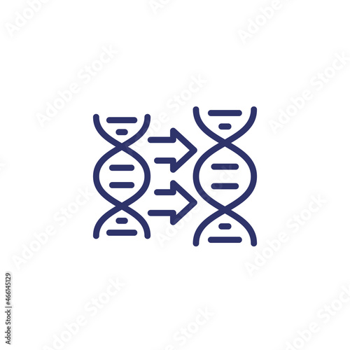 DNA replication icon, line vector