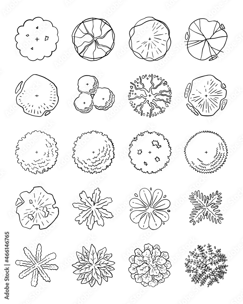 hand drawn vector set of top view tree.