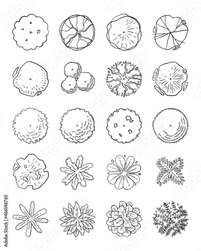 hand drawn vector set of top view tree.