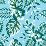 Nature background vector design with fashionable tropical monstera palm leaves and plants foliage flower drawing. monochromatic stylish illustration. print texture. nature wallpaper. Exotic tropics.