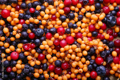 Frozen berries. Blueberries, sea buckthorn, cranberries and blueberries. Healthy eating concept