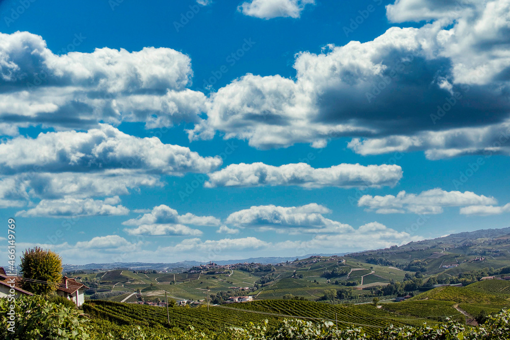 The vineyards in the Piedmontese Langhe in autumn at the time of the grape harvest