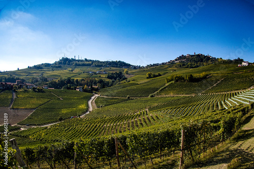 Landscapes of the Piedmontese Langhe with its vines in autumn, during the grape harvest