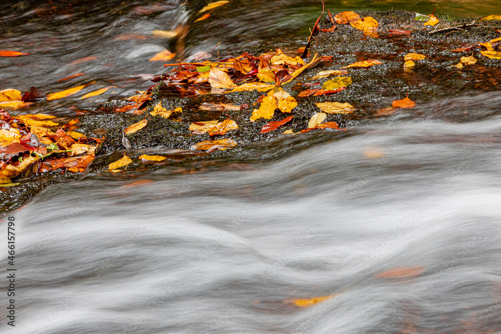 Close up of softly blurred water next to yellow, orange and red fall leaves.