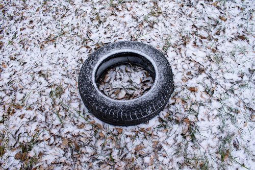 dry foliage, black tire under the snow,