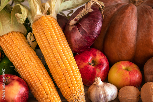 Close-up Thanksgiving background with vegetables and fruits. Harvest background with corns  pumpkin  apples  nuts  onion  potato  garlic  zucchini