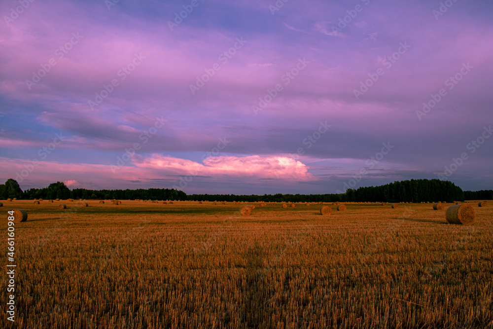 many haystacks lie on the field