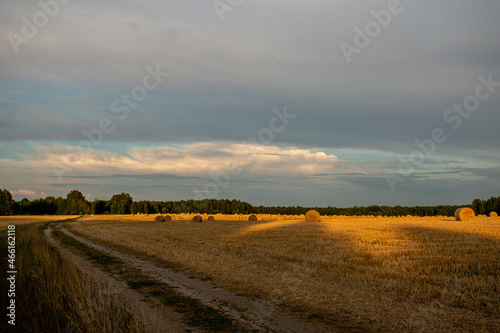 many haystacks lie on the field