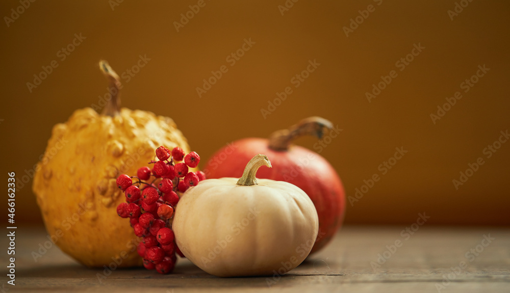 Autumn cozy composition of decorative pumpkins on a wooden table with a warm knitted scarf. Warm autumn, thanksgiving and halloween holiday concept Autumn cozy composition of decorative pumpkins on a wooden table with a warm knitted scarf. Warm autumn, thanksgiving and halloween holiday concept