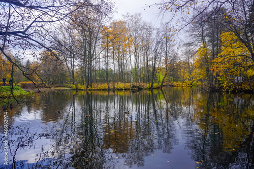 Beautiful autumn trees in pond reflection