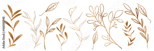 Vector plants and grasses in gold style with gloss effects and and gold paint splatters. Minimalist style of hand drawn plants. With leaves and organic shapes. For your own design.