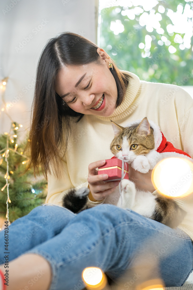 asian woman smile and happy during play and clothing red santa blanket to her cat asian woman smile and happy during play and clothing red santa blanket to her cat