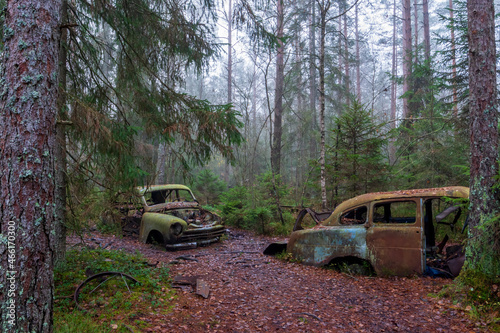 car in the woods