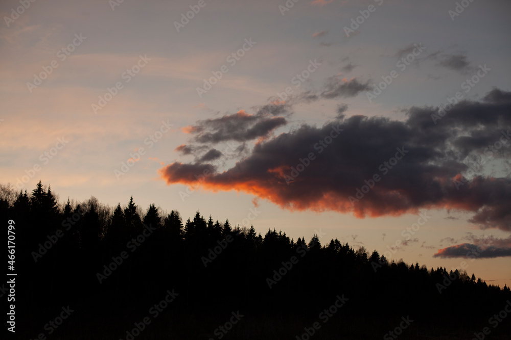 Evening landscape. Forest and cloud.