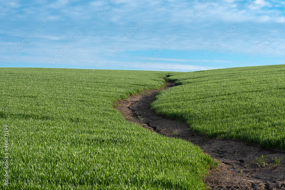 Soil erosion. The rains have eroded the soil in the agricultural field. Formation of ravines in the field due to rainwater runoff. Soil erosion. The rains have eroded the soil in the agricultural field. Formation of ravines in the field due to rainwater runoff.
