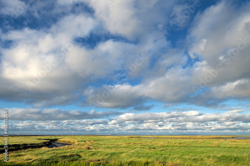 Landschafts-Foto im Nationalpark Niedersächsisches Wattenmeer bei Harlesiel an der Nordseeküste und Deichvorland mit Schilf und Priel und Salzwiesen und weiße Wolken und blauer Himmel - Stockfoto