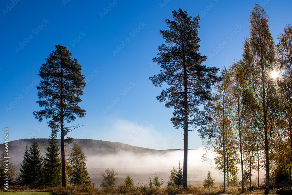 Autumn morning fog above agricultural fields in valley. Hälsingland, Sweden
