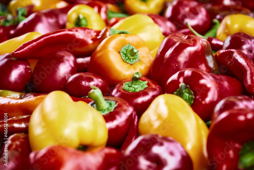 Colorful peppers background on the wooden background