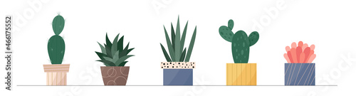 Trendy collection of home cute houseplants in flowerpots pack icons. Set of mini cactus and succulents in pots modern illustrations. Cozy vector cacti decoration elements in flat swiss graphic style.