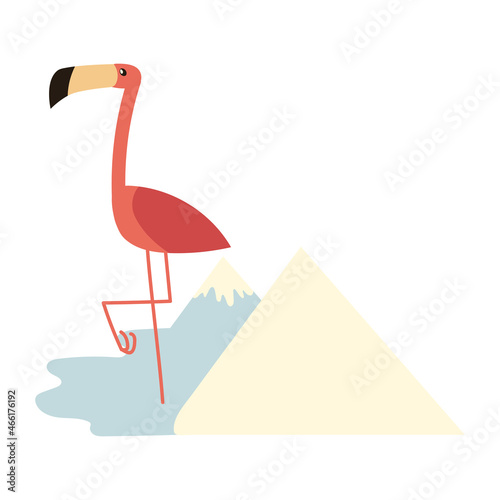 flamingo in mountains
