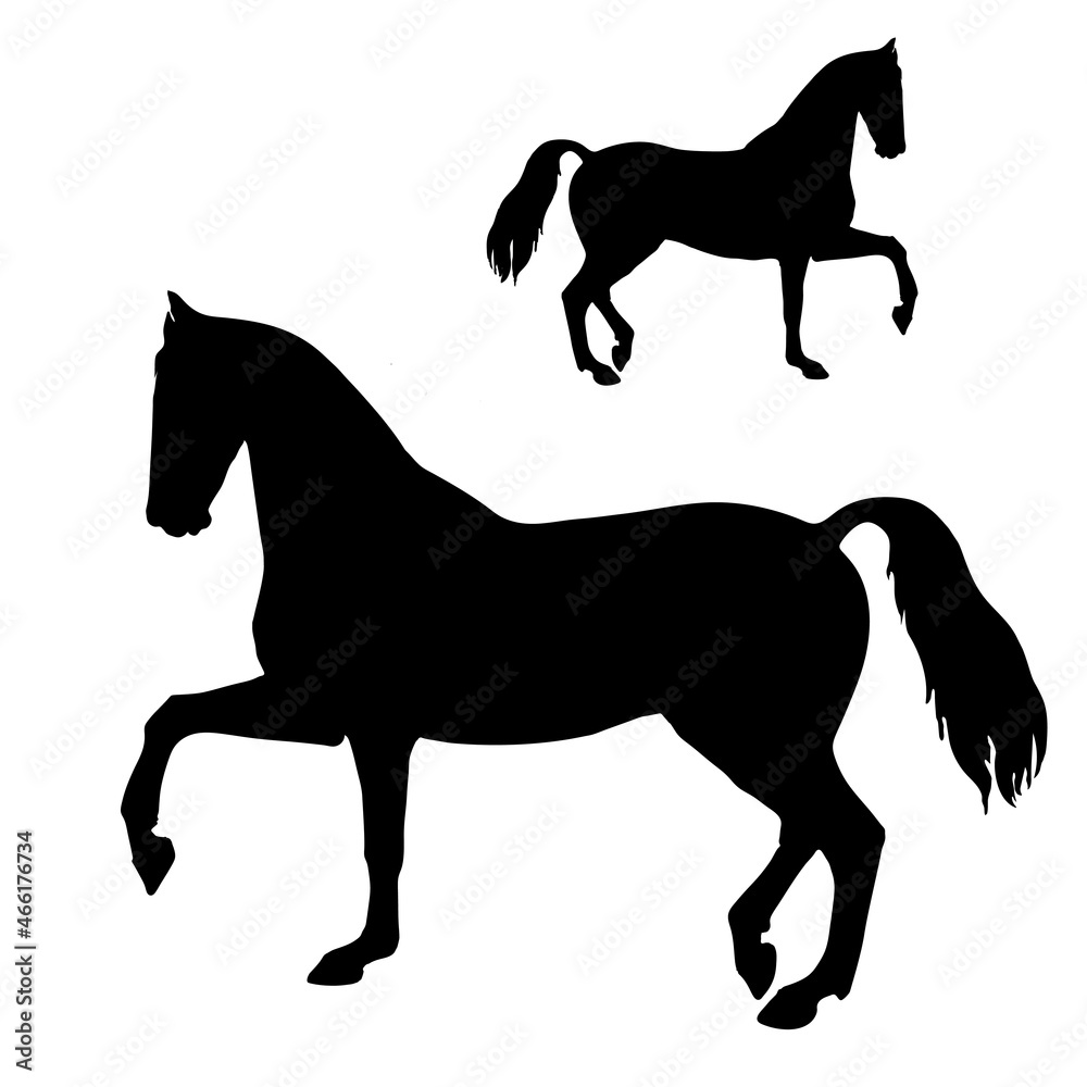 isolated black silhouette of a trotting horse on a white background
