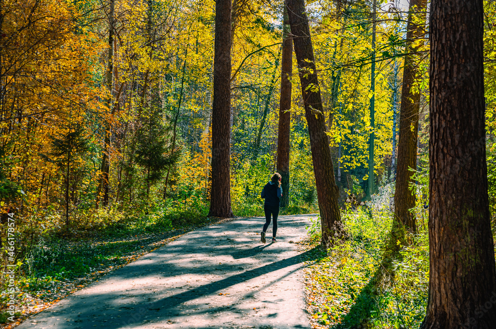 Woman runner running in fall autumn forest. Female fitness girl jogging on path in amazing fall foliage landscape nature outside. Woman runner running in fall autumn forest. Female fitness girl jogging on path in amazing fall foliage landscape nature outside.
