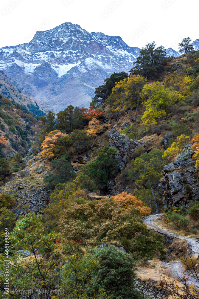 Landscape of the Vereda la Estrella with the peak of the Alcazaba with snow in the background, in the mountains of Sierra Nevada, Granada.
