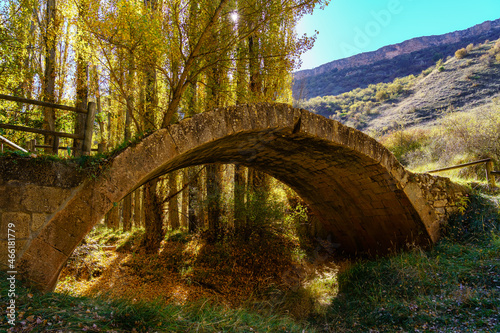 Stone arch bridge over leaf covered path in autumn. © josemiguelsangar