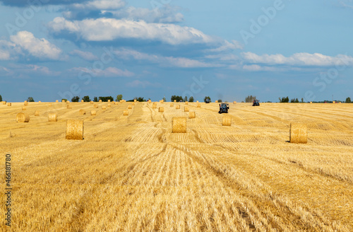 Harvested field with straw bales. Round haystacks are scattered across the field. Dry grass and golden rolls of hay