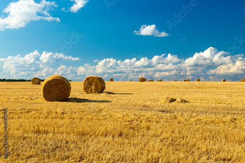A haystack left in a field after harvesting grain crops. Harvesting straw for animal feed. End of the harvest season. Round bales of hay are scattered across the farmer's field. photo