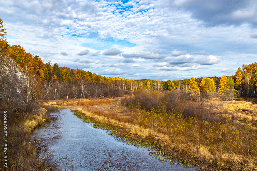 Autumn river creek stream in woods. Forest trees landscape woodland fall Autumn river creek stream in woods. Forest trees landscape woodland fall