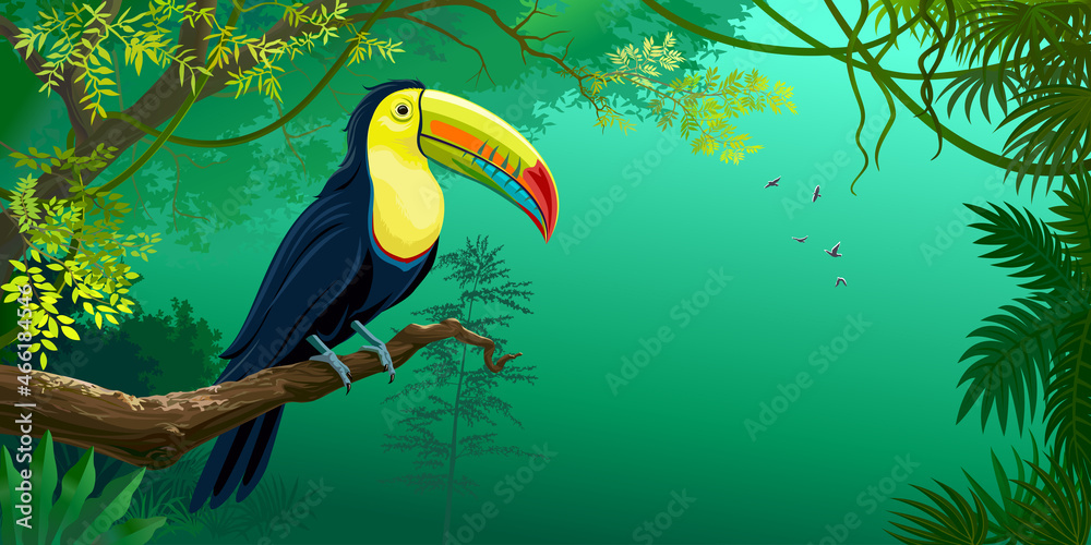 Fototapeta premium Giant Toucan sitting on a branch in a rainforest.