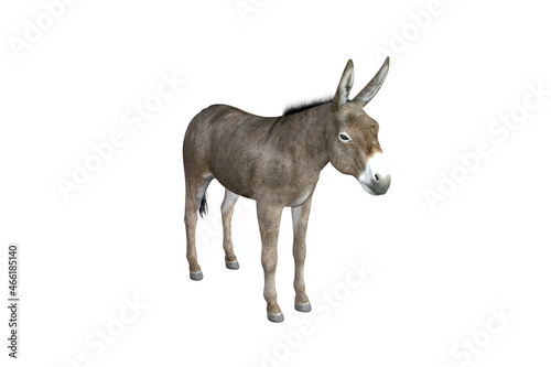 Photo-realistic illustration of the donkey with different poses and angles. 3D rendering illustration.