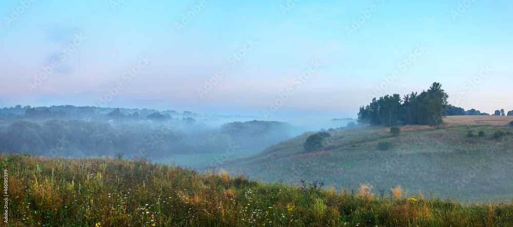 Foggy landscape with forest and hills