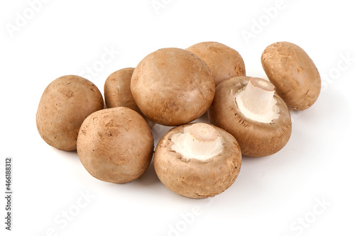 Fresh champignon mushrooms, isolated on white background.