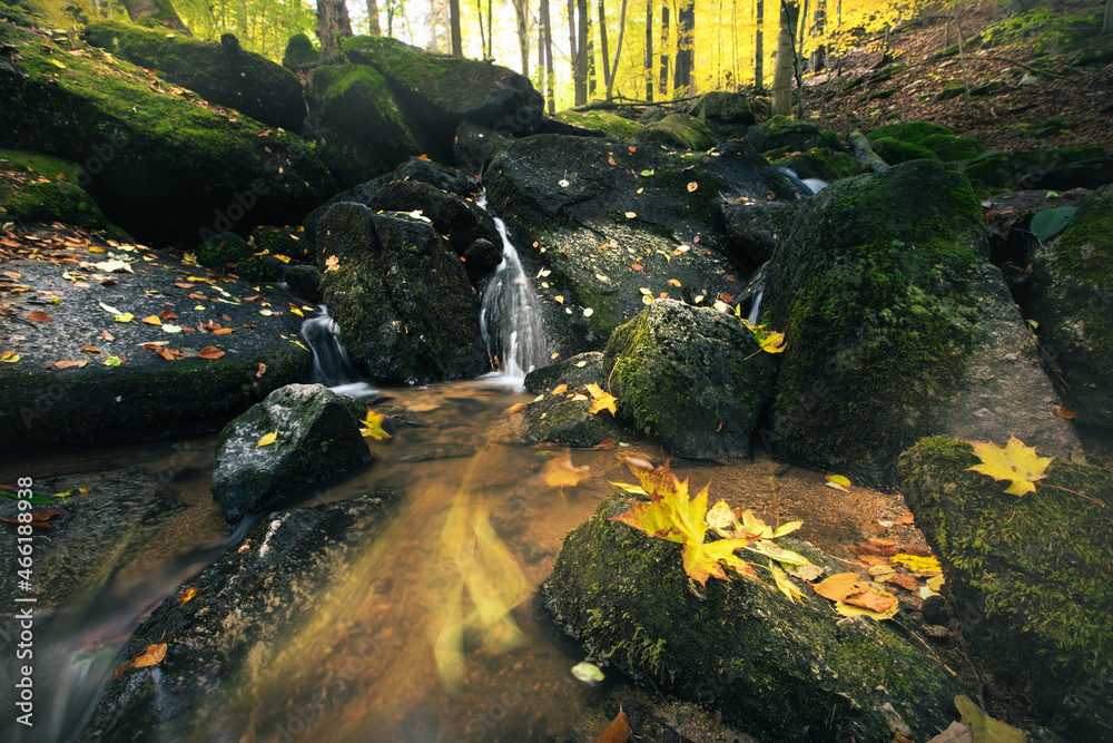 waterfall in autumn - obrazy, fototapety, plakaty 