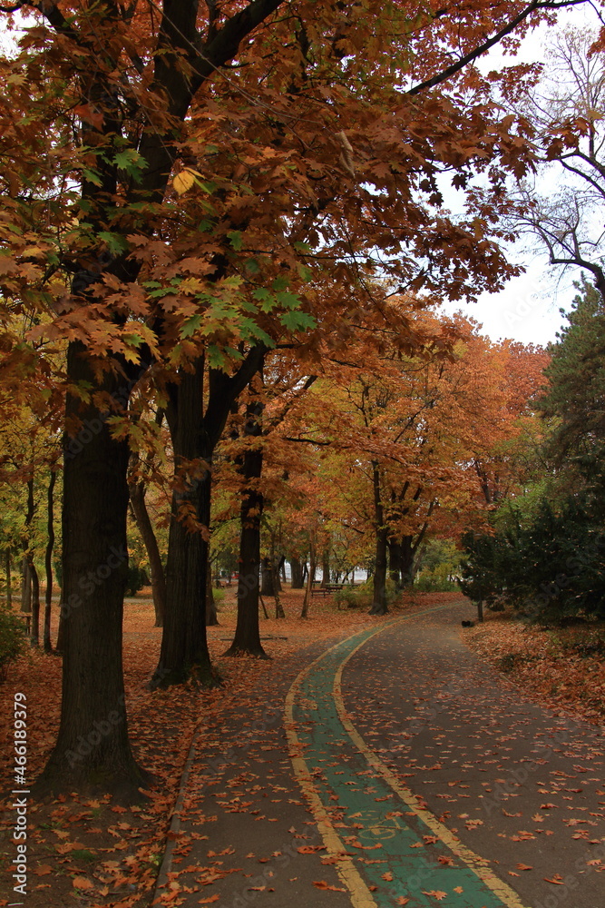 red october in the park