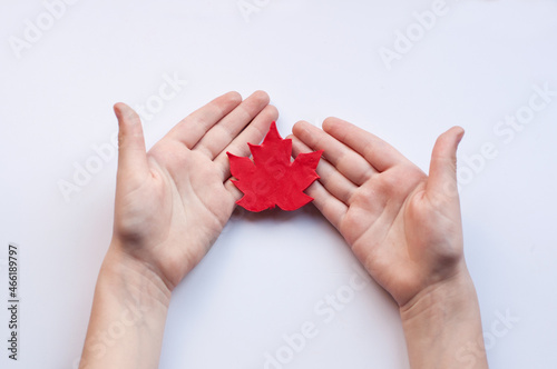 a red maple leaf made of plasticine lies on the children's palms on a white background