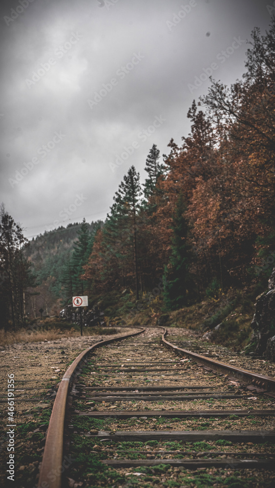 Obraz premium railway in the mountains