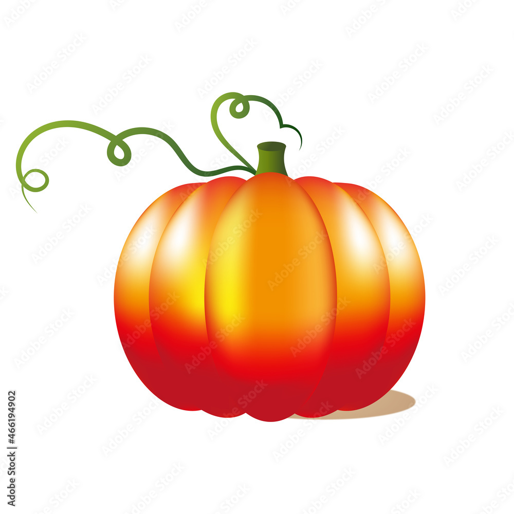 Obraz premium Big orange pumkin halloween on white background