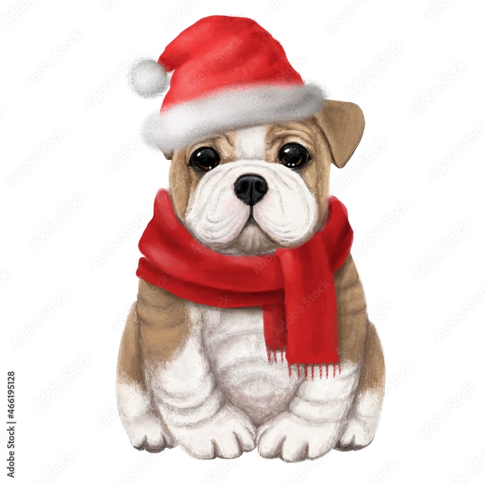 cute bulldog in Santa Claus hat, watercolor style illustration, holiday clipart, animal portrait