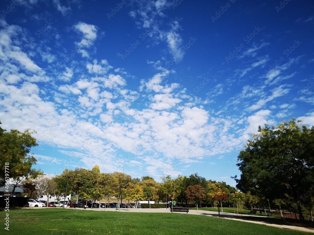 park in the city during autumn sunny day