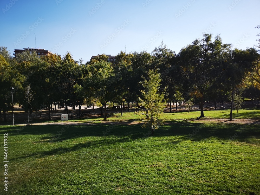 University campus park in the city during autumn University campus park in the city during autumn