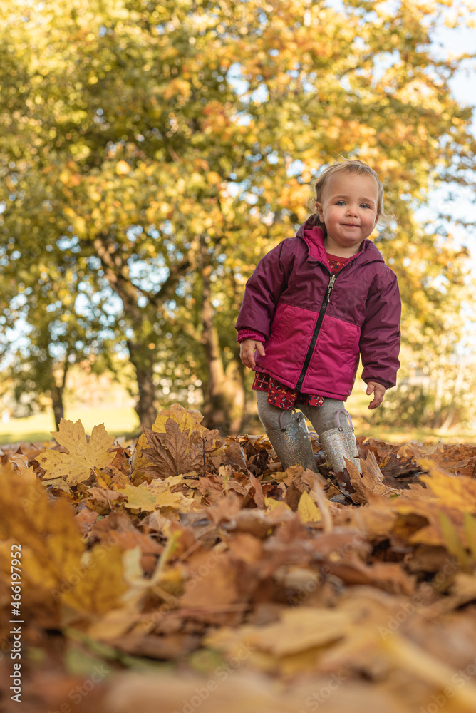 Adorable little toddler girl in pink jacket coat playing in a pile of autumn leaves Adorable little toddler girl in pink jacket coat playing in a pile of autumn leaves