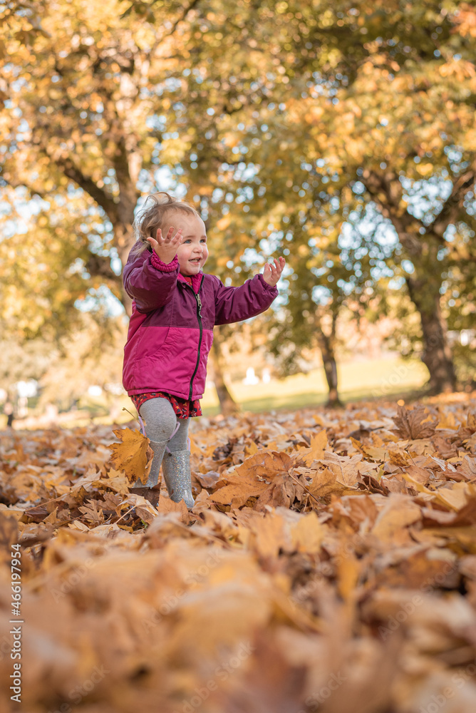 Happy toddler girl in pink coat jacket joyfully walking through autumn leaves in park setting Happy toddler girl in pink coat jacket joyfully walking through autumn leaves in park setting