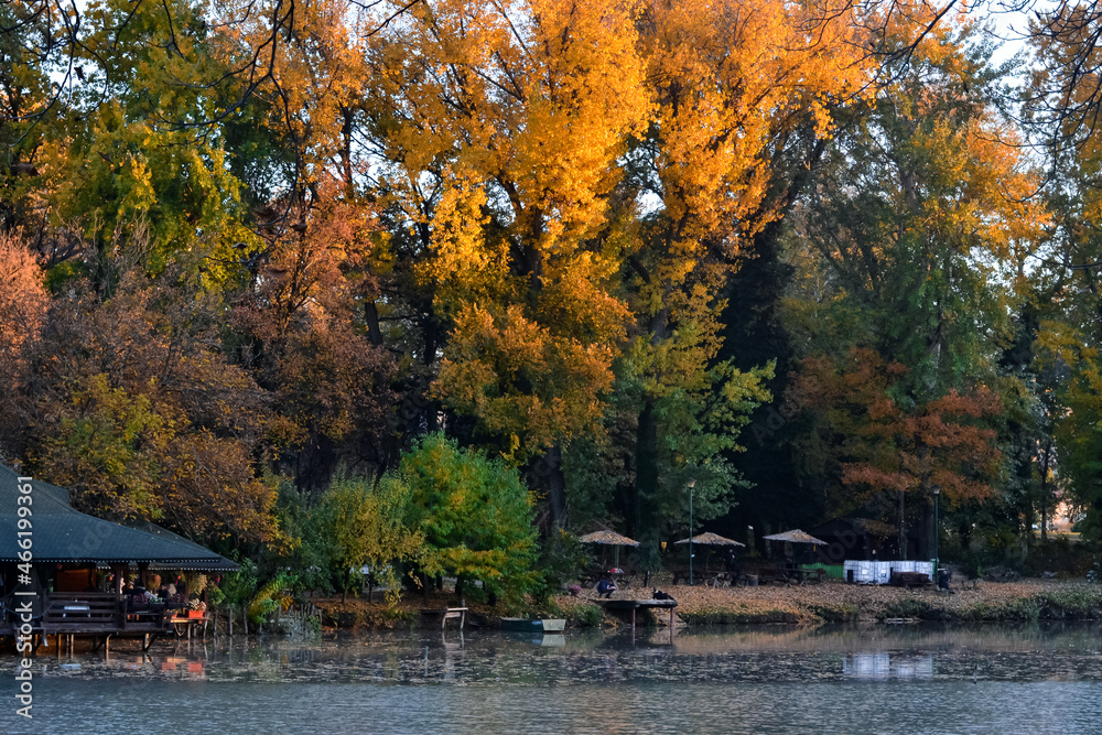 Fototapeta premium autumn on the lake