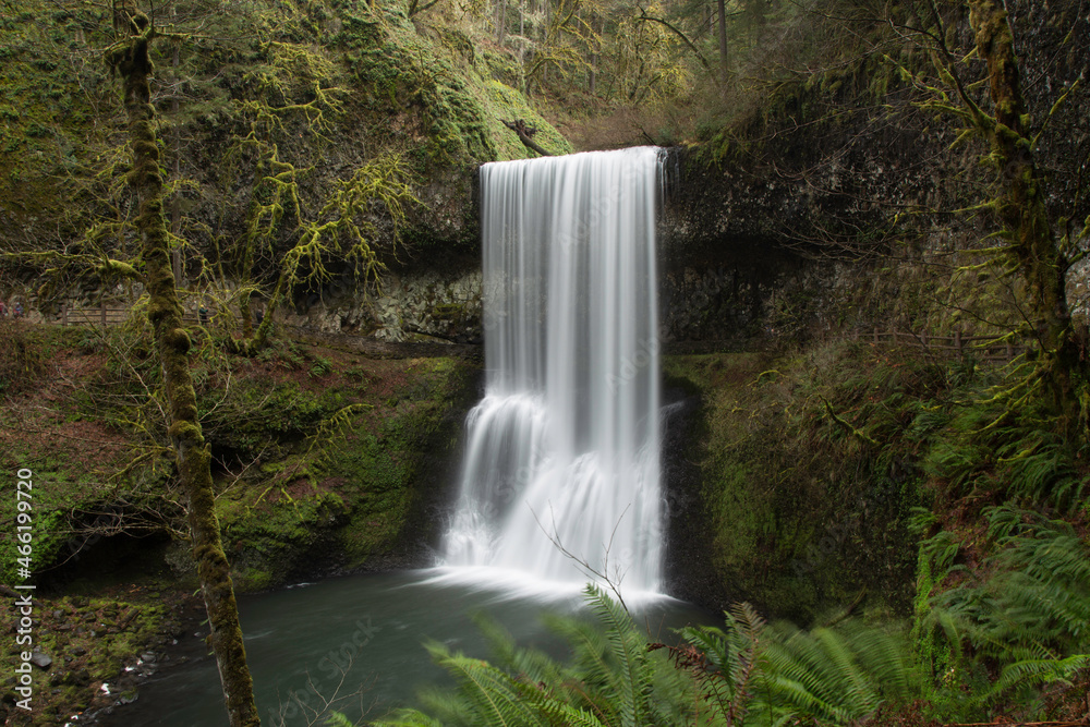 Fototapeta premium waterfall in the forest